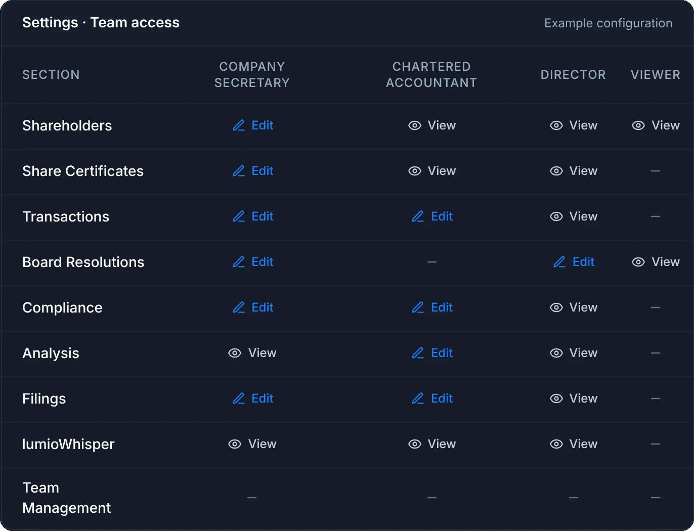 lumioCapital team access settings: which sections a company secretary, chartered accountant, director and viewer can view or edit